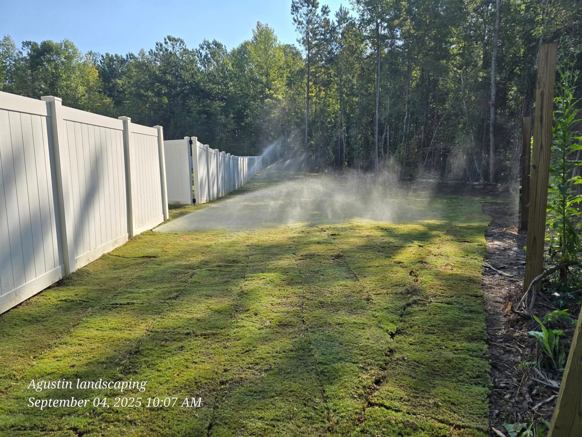 Fresh Sod Install with Irrigation