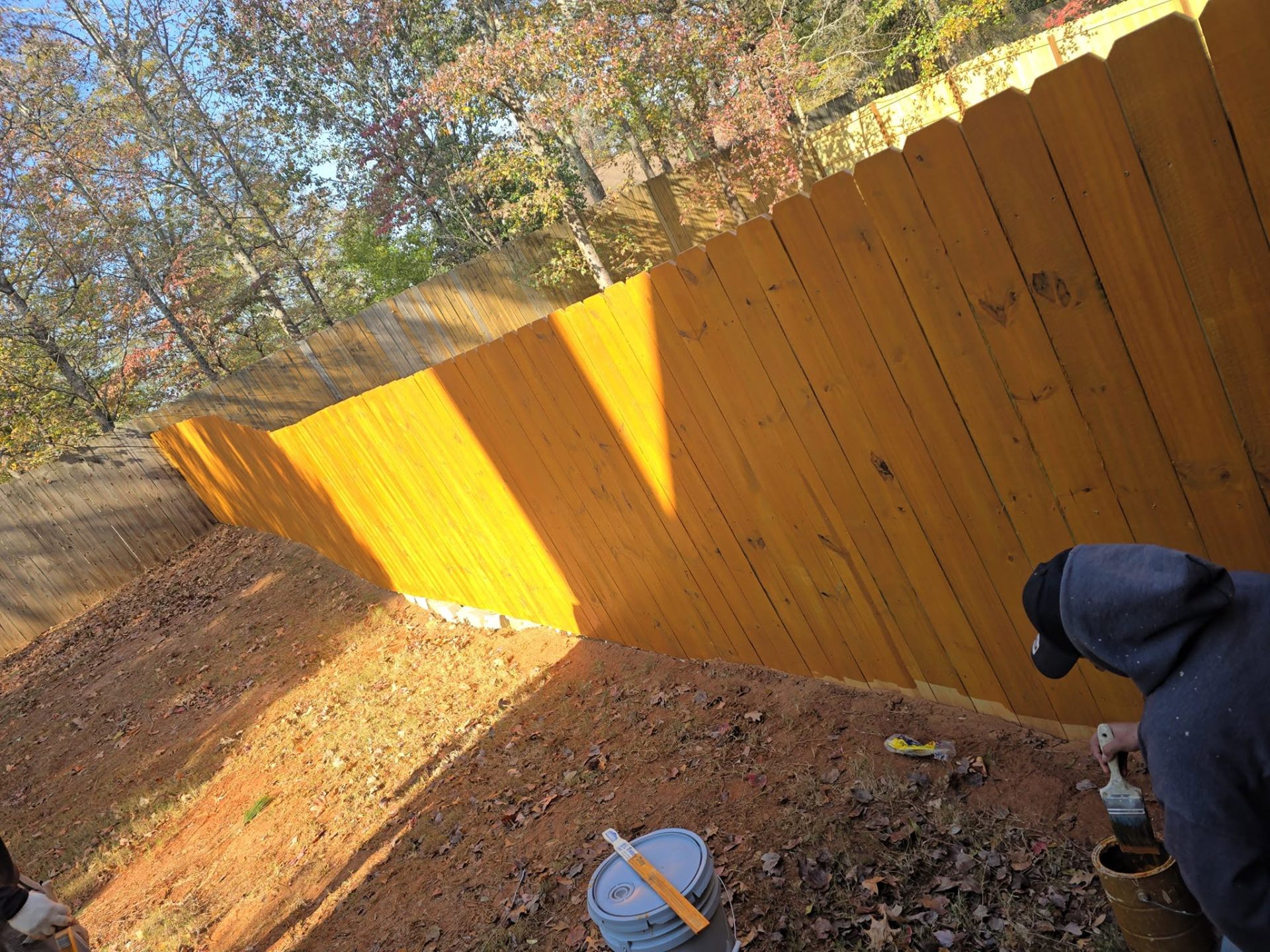 Fence Staining & Sealing