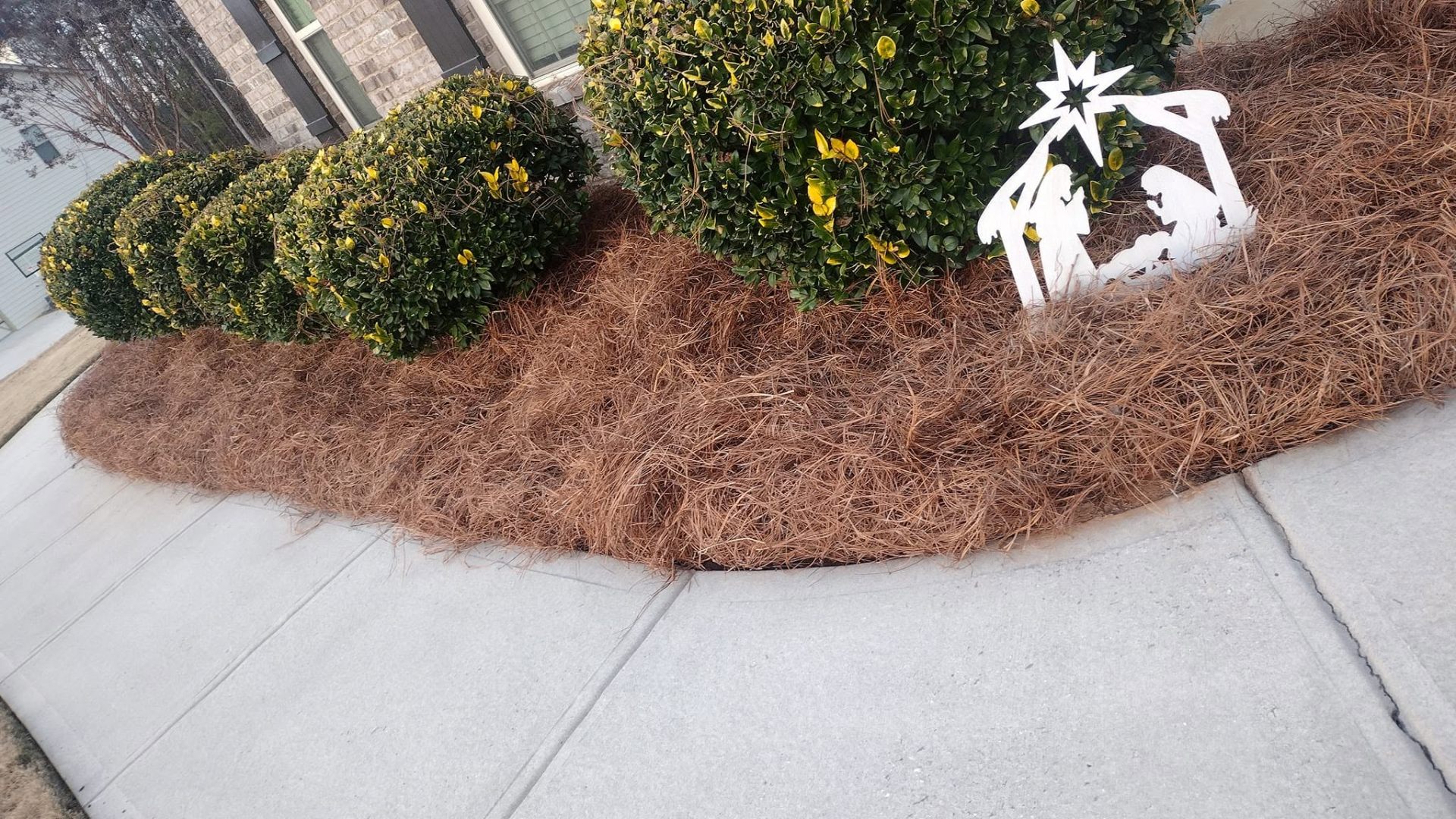 Pine Straw & Shrub Refresh